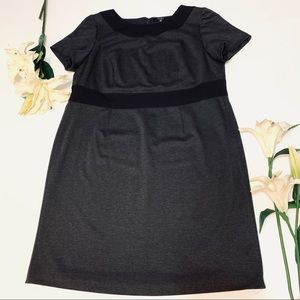 ALEX MARIE Dress Size 18W